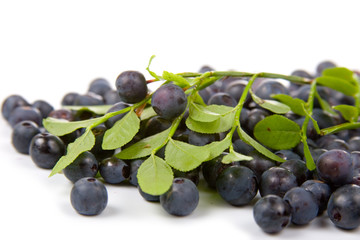Blueberries