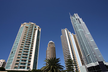 Fototapeta na wymiar Urban skyscrapers in Gold Coast, Australia