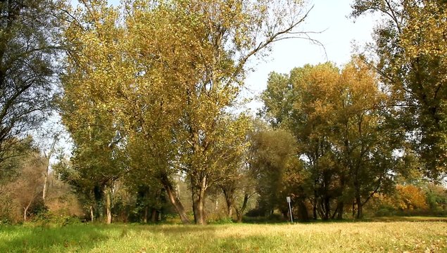 campagna in autunno