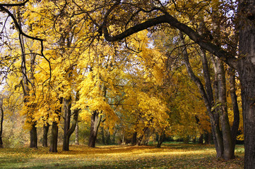 Herbstspaziergang