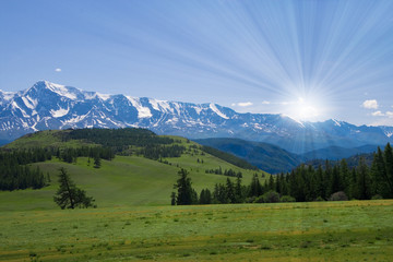 Fototapeta na wymiar Nature landscape, meadow and mountains, wildlife of Altay