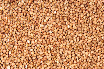 buckwheat;