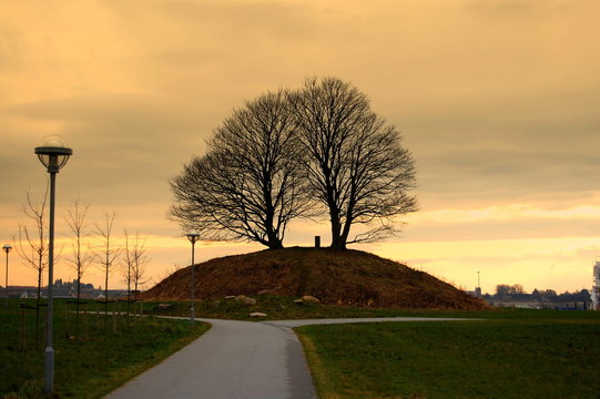 Big tree on the hill (Vikings grave)