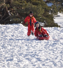 Fototapeta na wymiar sport d'hiver descente d'enfants joyeux en luge
