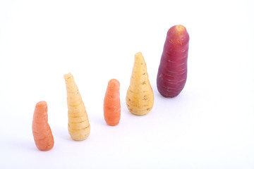 A row of organic carrots  of different sizes.