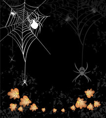Illustration with spider web isolated on black background