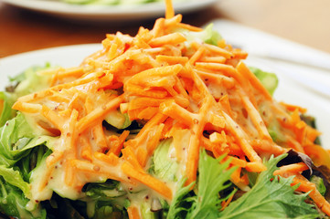 fresh vegetable salad