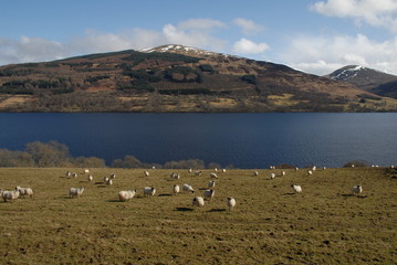 Schottische Landschaft 2