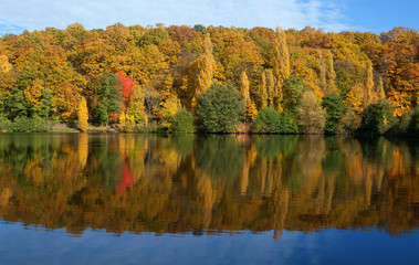 Bright autumn trees with their reflection in water