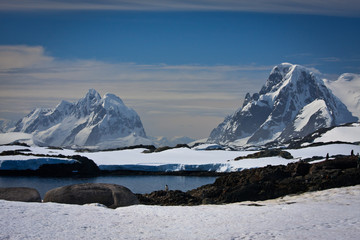 snow-capped mountains