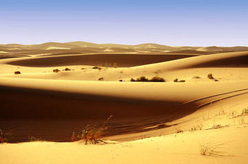 Fototapeta na wymiar dune, pustynia, tło, sylwetka