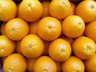 oranges on a counter