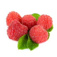 fresh raspberry