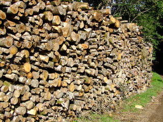 France - Auvergne - Crèvecoeur