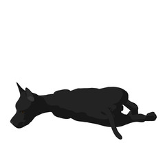 Dog Illustration