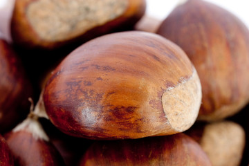 Nahaufnahme von Esskastanien vor weissem Hintergrund