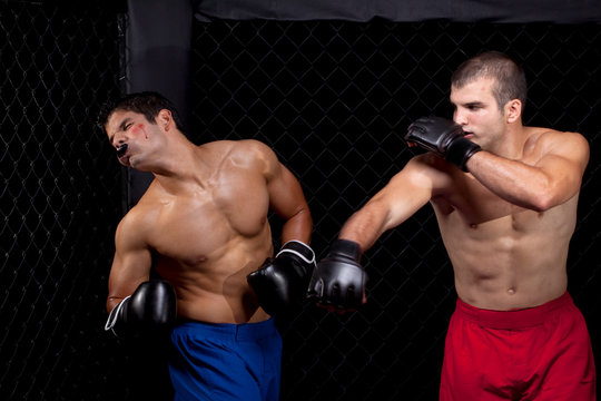 Mixed martial artists fighting