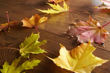 Autumn leaves