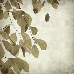 textured old paper background with autumnal foliage