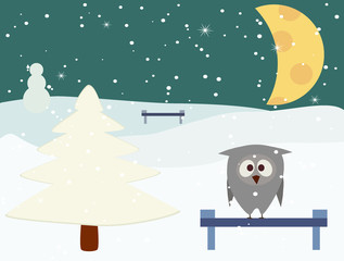 Fototapeta na wymiar owl in winter night