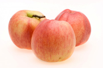 Apples