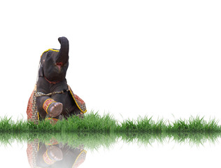 elephant with green grass isolated