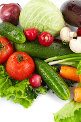 fresh vegetables on the white background