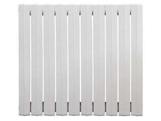 Cast iron radiator