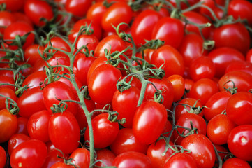 A background of fresh plum tomatoes for sale at a market