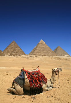 Pyramides d'Egypte