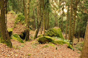 Sandsteinfelsen im Wald - sandstone rock in forest 27