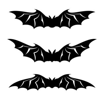 Bats illustration