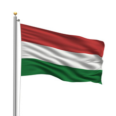 Flag of Hungary waving in the wind in front of white background