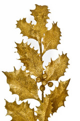 Fototapeta premium Christmas holly