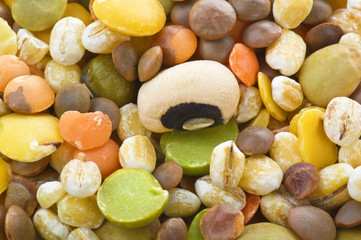 Minestrone Close up