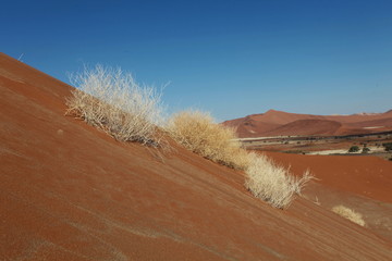 Düne, Sossusvlei, Namibia