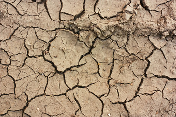 High Resolution Dry Soil Texture