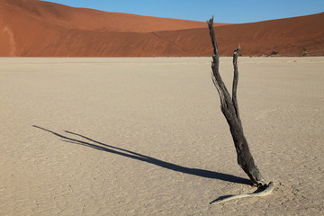 Dead Vlei Namib Wüste Sossusvlei Namibia - 27205390