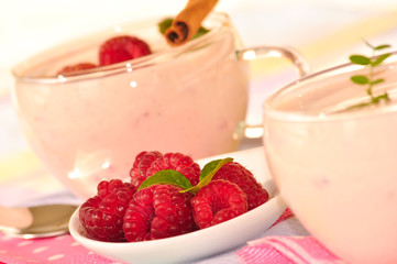 Himmlisch fruchtiges Himbeerdessert