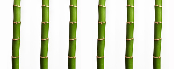 gitter aus bambusrohren