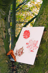 Autumn Leaf Prints © Springfield Gallery