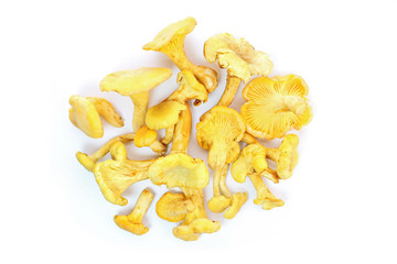 Giroles vues de dessus