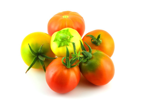 Ripe tomatoes and peppers