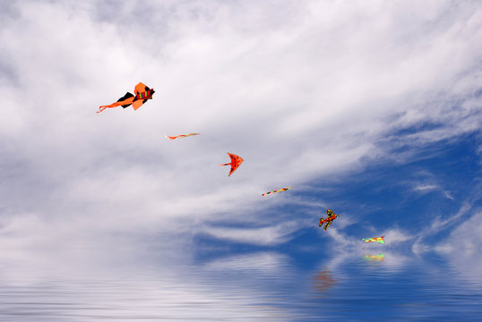 Flying kites