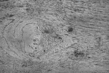 old grey wood texture