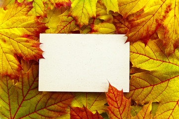 Naklejka na ściany i meble Paper on a leaves background