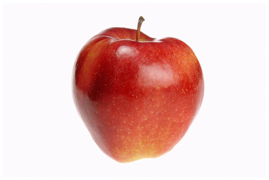 Apfel Gloster freigestellt - apple Gloster isolated 01