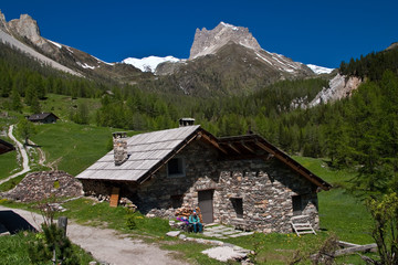Fototapeta na wymiar Les Alpes - La Vallée Etroite.