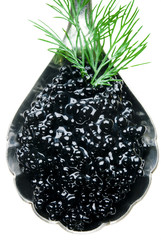 caviar