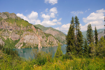 Colorful mountain lake with fur tree